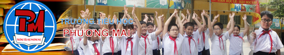 Phương Mai - Tiểu học công lập quận Đống Đa - Hà Nội (Ảnh: website nhà trường)