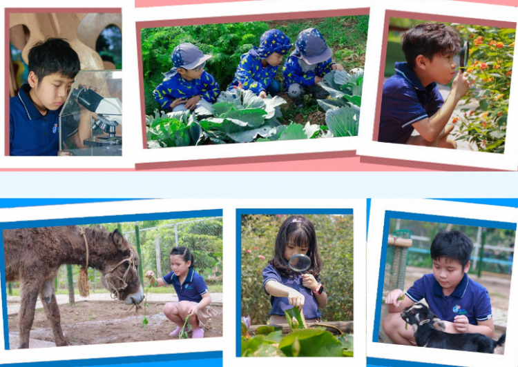 Eraschool – trường phổ thông liên cấp sinh thái  tại Hà Nội