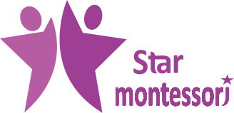 Logo trường mầm non Ngôi Sao - Star Montessori tại quận Hai Bà Trưng, Hà Nội (Ảnh: website trường)