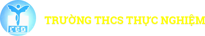 Thực Nghiệm - THCS công lập quận Ba Đình - Hà Nội (Ảnh: website nhà trường)